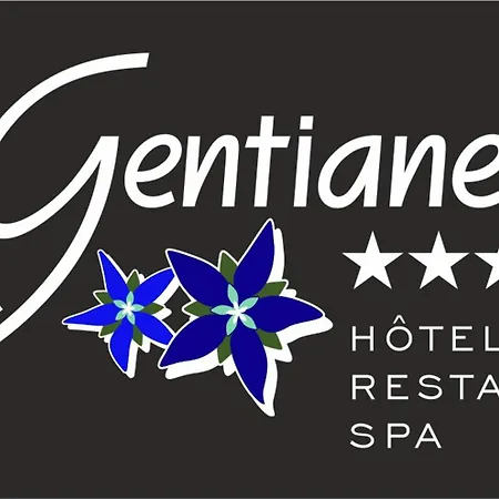 Les Gentianettes Hotel&spa 4*