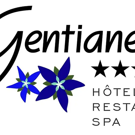 Hotel Les Gentianettes Hotel&spa Abondance