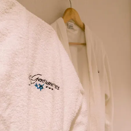 Les Gentianettes Hotel&spa Hotel Abondance