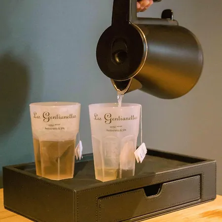 Les Gentianettes Hotel & Spa 4* La Chapelle-d'Abondance