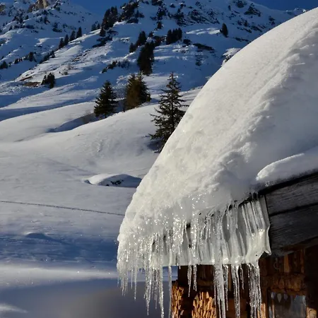 Les Gentianettes & Abondance