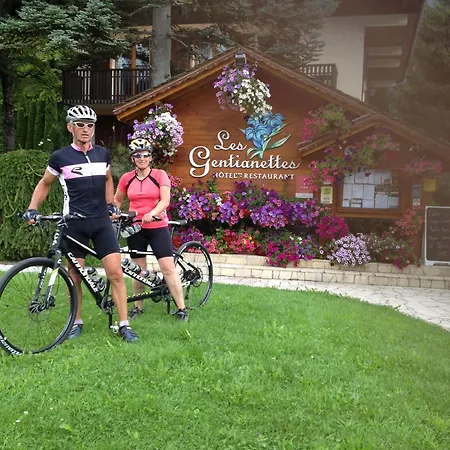 Les Gentianettes & Abondance