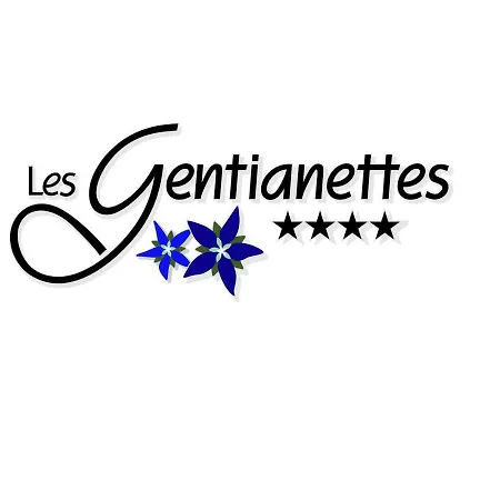 Les Gentianettes Hotel&spa Hotel Abondance